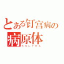 とある钉宫病の病原体（ＳＮＬＴＲＡ）