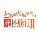 とある火焔猫燐の死体旅行Ⅱ（東方地霊殿）