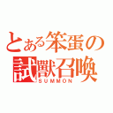 とある笨蛋の試獸召喚（ＳＵＭＭＯＮ）