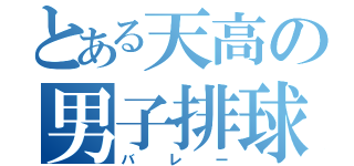 とある天高の男子排球部（バレー）