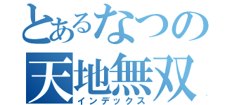 とあるなつの天地無双（インデックス）