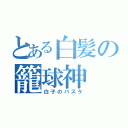 とある白髪の籠球神（白子のバスケ）