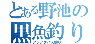 とある野池の黒魚釣り（ブラックバス釣り）