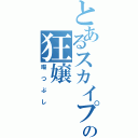 とあるスカイプの狂嬢（暇つぶし）