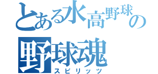 とある水高野球の野球魂（スピリッツ）