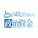 とある政治家の政治資金（ブラックボックス）