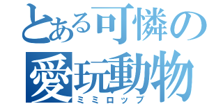 とある可憐の愛玩動物（ミミロップ）