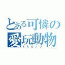 とある可憐の愛玩動物（ミミロップ）