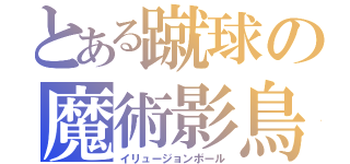 とある蹴球の魔術影鳥（イリュージョンボール）