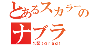 とあるスカラー関数とのナブラ（勾配（ｇｒａｄ））