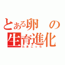 とある卵の生育進化（たまごっち）