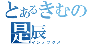 とあるきむの是辰（インデックス）