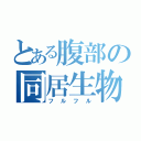 とある腹部の同居生物（フルフル）