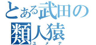 とある武田の類人猿（ユメナ）