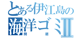 とある伊江島の海洋ゴミⅡ（問題）