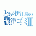 とある伊江島の海洋ゴミⅡ（問題）