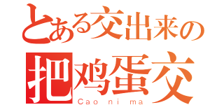 とある交出来の把鸡蛋交出来（Ｃａｏ ｎｉ ｍａ）