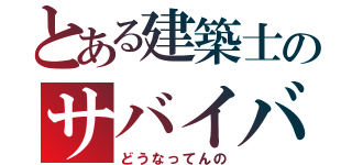 とある建築士のサバイバル（どうなってんの）