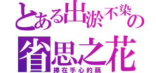 とある出淤不染の省思之花。（捧在手心的藕）