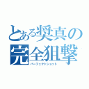 とある奨真の完全狙撃（パーフェクトショット）