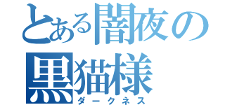 とある闇夜の黒猫様（ダークネス）