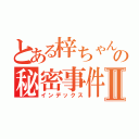 とある梓ちゃんの秘密事件Ⅱ（インデックス）