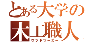 とある大学の木工職人（ウッドワーカー）