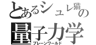 とあるシュレ猫の量子力学（ブレーンワールド）