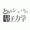 とあるシュレ猫の量子力学（ブレーンワールド）