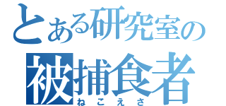 とある研究室の被捕食者（ねこえさ）