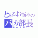 とあるお悩みのバカ部長（橘内珠利）