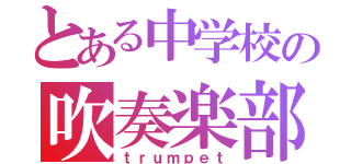 とある中学校の吹奏楽部（ｔｒｕｍｐｅｔ）