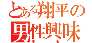 とある翔平の男性興味（ホモ）