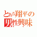 とある翔平の男性興味（ホモ）