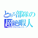 とある部隊の超絶暇人（ブラックキャット）