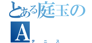 とある庭玉のＡ（テニス）