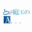 とある庭玉のＡ（テニス）