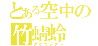 とある空中の竹蜻蛉（タケコプター）