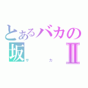 とあるバカの坂Ⅱ（サカ）