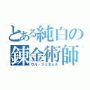 とある純白の錬金術師（ウル・フェネシス）