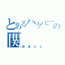 とあるハゲピーの関（田舎もん）