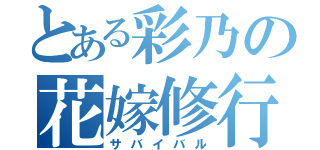 とある彩乃の花嫁修行（サバイバル）