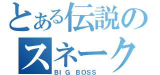 とある伝説のスネーク（ＢＩＧ ＢＯＳＳ ）