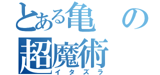 とある亀の超魔術（イタズラ）