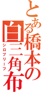 とある橋本の白三角布（シロブリーフ）