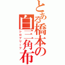 とある橋本の白三角布（シロブリーフ）