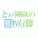 とある剛蔵の鵬程行脚（リアル遠足）