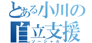 とある小川の自立支援（ソーシャル）