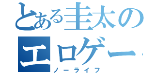 とある圭太のエロゲー（ノーライフ）