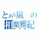 とある嵐の相葉雅紀（動物園）